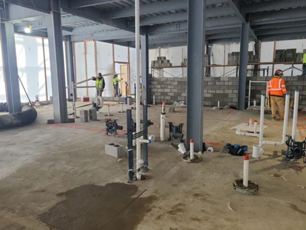 Your New Y is Taking Shape